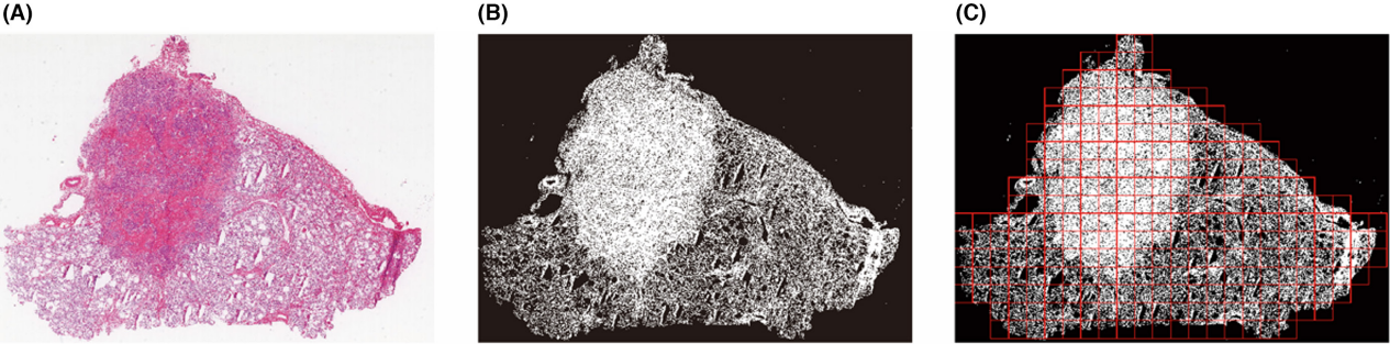 1756714068537454.png 3.png